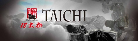 禪太極十八式"Zen Taichi 18 Forms" Initial Stories