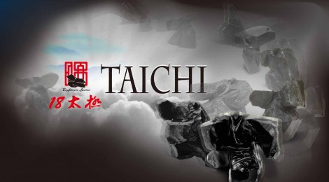 禪太極十八式"Zen Taichi 18 Forms" Initial Stories