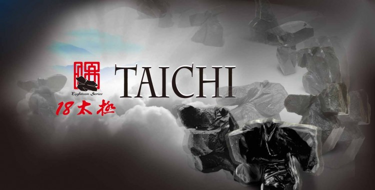 禪太極十八式"Zen Taichi 18 Forms" Initial Stories