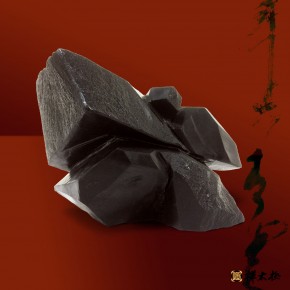 禪太極18式-02勢如破竹．深刻堅毅的筆直線條，方而穩定的佇立在太極的步伐之中，靜待一切蓄勢待發！