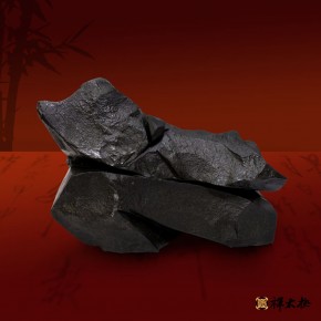 禪太極18式-16舞動萬象．太極伸展如舞，作品有著律動的旋律充滿想像空間，舞動太極、舞動萬象、舞動天地之勢！